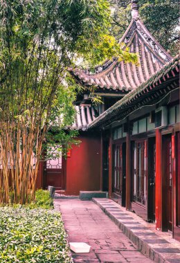 Chengdu, Çin - 29 Kasım 2009: Tapınak kompleksinin avlusunda küçük yürüyüş yolu olan dev bir bambu ağacı