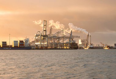 Rotterdam, Hollanda - 22 Kasım 2021: Limandaki gemilerin konteynırlarını boşaltmak için devasa yarıdan ve tamamen otomatik vinçlerden oluşan hatlar