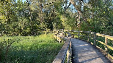 Port Perry, Kanada - 12 Ağustos 2023: bataklık ve gölün etrafındaki yeşilliklerle dolu bir sahil yürüyüşü.