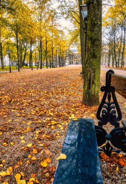 Lahey, Hollanda - 22 Ekim 2020: Lange voorhout, Lahey şehir merkezinde muazzam ağaçlar, Hollanda tarihi binaları, klasik park bankları ve fenerleriyle görkemli bir şerittir.