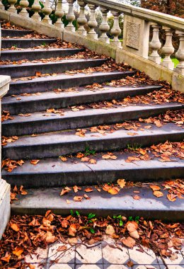 Wassenaar, Hollanda - Kasım 09 2020: Dışarıdaki klasik zarif saray merdiveni ve merdivenlerde yaprakları dökülen bahçe manzarası