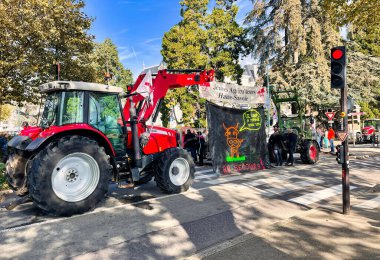 Annecy, Fransa - 15 Ekim 2021: Genç traktörlü Fransız çiftçiler tarım bölgelerinde başlatılan kurtlara karşı düzenlenen bir gösteri sırasında protesto yapıyorlar