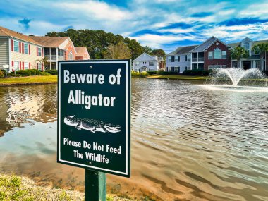 mount pleasant, united states - november 6 2022: a beware of alligators sign has been posted next to a pond in a suburb build in a swamp