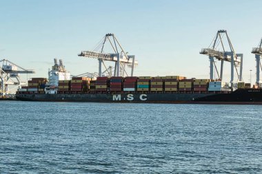 Rotterdam, Hollanda - 11 Kasım 2021: Limandaki gemilerin konteynırlarını boşaltmak için devasa yarıdan ve tamamen otomatik vinçlerden oluşan hatlar