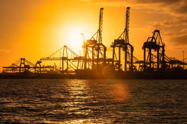 Rotterdam, Hollanda - 22 Kasım 2021: Limandaki gemilerin konteynırlarını boşaltmak için devasa yarıdan ve tamamen otomatik vinçlerden oluşan hatlar