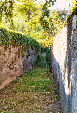 Rolle, İsviçre - Eylül 05 2020: Sarmaşıklı gizemli bir arka sokak