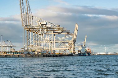 Rotterdam, Hollanda - 22 Kasım 2021: Limandaki gemilerin konteynırlarını boşaltmak için devasa yarıdan ve tamamen otomatik vinçlerden oluşan hatlar