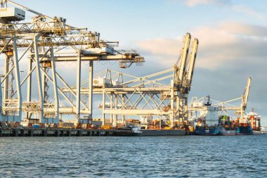 Rotterdam, Hollanda - 22 Kasım 2021: Limandaki gemilerin konteynırlarını boşaltmak için devasa yarıdan ve tamamen otomatik vinçlerden oluşan hatlar