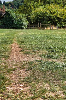 Menthon Aziz Bernard, Fransa - 22 Eylül 2020: Fransa kırsalındaki bir patika ya da patika ağaçlara doğru çim tarlasını geçiyor.