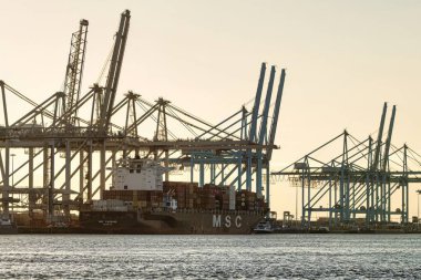 Rotterdam, Hollanda - 22 Kasım 2021: Limandaki gemilerin konteynırlarını boşaltmak için devasa yarıdan ve tamamen otomatik vinçlerden oluşan hatlar