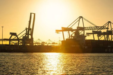 Rotterdam, Hollanda - 22 Kasım 2021: Limandaki gemilerin konteynırlarını boşaltmak için devasa yarıdan ve tamamen otomatik vinçlerden oluşan hatlar