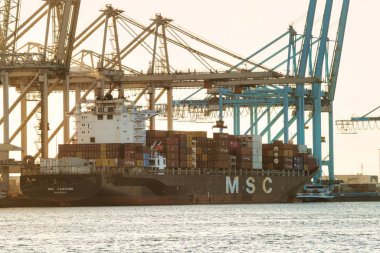 Rotterdam, Hollanda - 22 Kasım 2021: Limandaki gemilerin konteynırlarını boşaltmak için devasa yarıdan ve tamamen otomatik vinçlerden oluşan hatlar