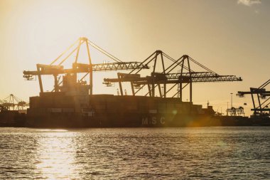 Rotterdam, Hollanda - 22 Kasım 2021: Limandaki gemilerin konteynırlarını boşaltmak için devasa yarıdan ve tamamen otomatik vinçlerden oluşan hatlar