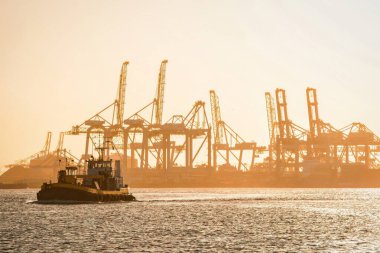 Rotterdam, Hollanda - 22 Kasım 2021: Limandaki gemilerin konteynırlarını boşaltmak için devasa yarı otomatik vinçler ve bir römorkör hattı