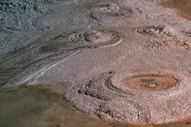 Yeni Zelanda, Rotorua - 28 Eylül 2009: Rotorua çevresindeki volkanik faaliyetler nedeniyle jeotermal sıcak çamur banyosu