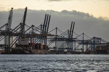 Rotterdam, Hollanda - 22 Kasım 2021: Limandaki gemilerin konteynırlarını boşaltmak için devasa yarıdan ve tamamen otomatik vinçlerden oluşan hatlar