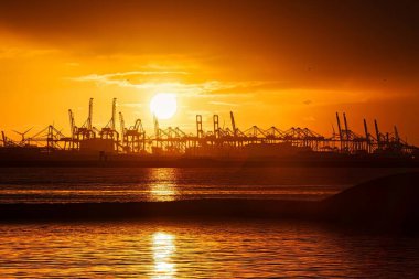 Rotterdam, Hollanda - 22 Kasım 2021: Limandaki gemilerin konteynırlarını boşaltmak için devasa yarıdan ve tamamen otomatik vinçlerden oluşan hatlar