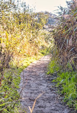 Wassenaar, Hollanda - Kasım 06 2020: Lahey yakınlarındaki kumullarda atlar için özel bir patika veya patika