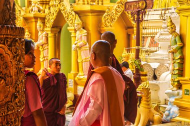 Yangon, Myanmar - 3 Aralık 2012: Budist rahipler Buda heykelleri olan bir tapınakta ibadet ediyorlar