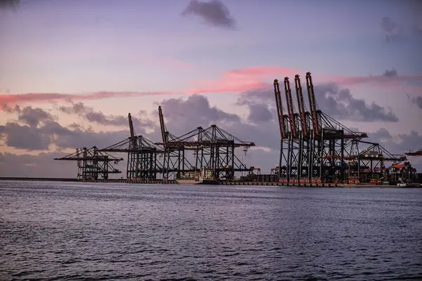 stock image Rotterdam, Netherlands - November 22 2021 : lines of huge half and completely automated cranes to offload containers from ships in the harbor