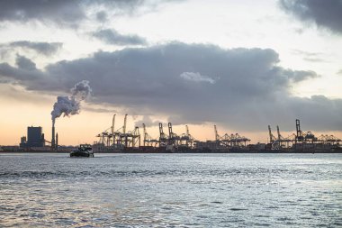 Rotterdam, Hollanda - 22 Kasım 2021: Limandaki gemilerin konteynırlarını boşaltmak için devasa yarıdan ve tamamen otomatik vinçlerden oluşan hatlar