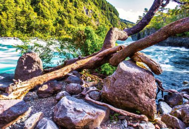 Puerto Varas, Şili - 10 Kasım 2014: Şili 'nin güneyindeki dağlara dökülen sular, çağlayan kayalar ve çağlayan nehirler veya dereler