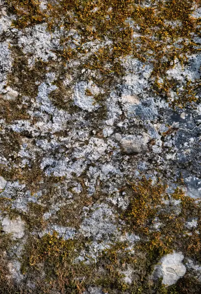 stock image Talloires, France - September 08 2020 : creepy cracks, moss and linches on historic old errodated walls