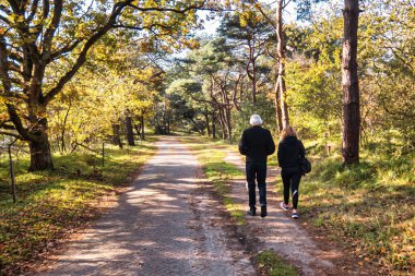 Wassenaar, Hollanda - Kasım 06 2020: insanlar şehir yakınlarındaki orman ve kum tepelerinin doğal rezervlerinde yürüyüş yapıyor veya yürüyorlar.