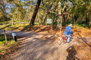 Wassenaar, Hollanda - Kasım 06 2020: eğlence bisikletçileri Lahey yakınlarındaki doğal bir rezervde orman veya bisiklet yolu veya kum tepeleri üzerinde seyahat ediyorlar