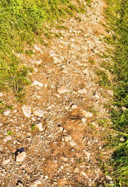 Dağlardaki bir yamaçtaki çimlerin üzerinde eski bir taş patika oluştu.