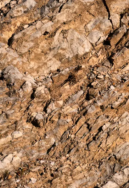 stock image creepy cracks, moss and linches on historic old errodated walls