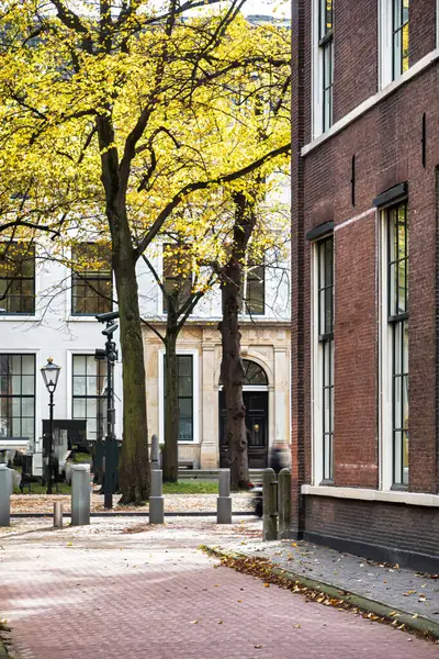 stock image The Hague, Netherlands - October 22 2020 : the typical dutch view of an historic old small street with facades of the buildings and view of trees