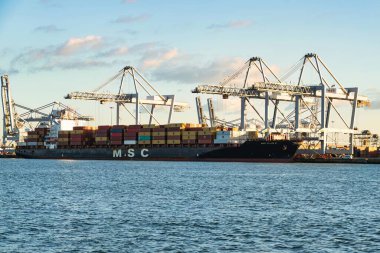 Rotterdam, Netherlands - November 22 2021 : lines of huge half and completely automated cranes to offload containers from deck ship clipart