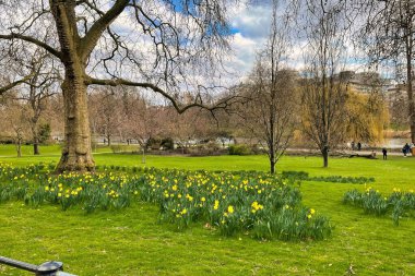 Londra, Birleşik Krallık - 6 Mart 2022: Green Park ve alışveriş merkezi dışında nergislerle dolu bir eğlence parkı ve Parliament Hill manzarası var.