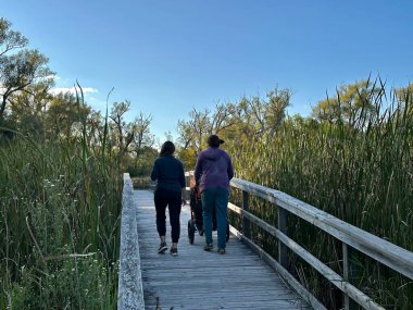 Port Perry, Kanada - 14 Eylül 2023: Bir çift bebek arabasında bir bebekle yürüyor ve çevresindeki doğal yeşilliklerle bir parktaki bir kaldırımda görüldü.