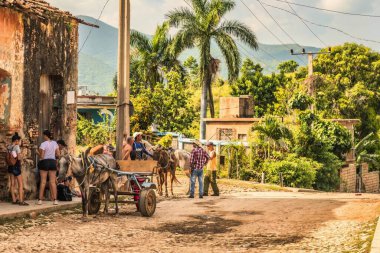 Trinidad, Küba - 15 Temmuz 2018: 18. yüzyılda hala taş kaldırımlı caddeleri olan eski bir İspanyol sömürge kasabası. Zayıf bir at turistleri taşımak zorundadır.