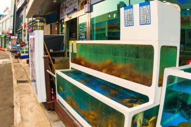 Sokcho, South Korea - June 08 2015 : Sea creatures one has never seen before in a tank outside one of the many fish stores. clipart