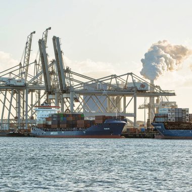 Rotterdam, Netherlands - November 22 2021 : lines of huge half and completely automated cranes to offload containers from ships in the harbor clipart