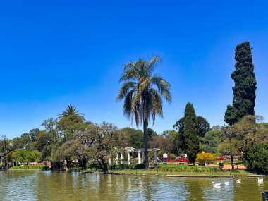 Buenos aires, Arjantin - 27 Ekim 2022: Rosendal de Palermo botanik parkında geniş çakıl yolları, sıraları ve palmiye ağaçları olan küçük bir ada