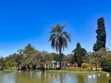 buenos aires, Argentina - 27 October 2022: small island on lake of Rosendal de Palermo botanic park with wide gravel paths, benches and palm trees clipart