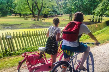 Hague, Hollanda - Ağustos 02 2014: İki kişi parkta bisiklet sürüyor ve geyikleri izliyorlar