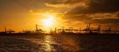 Rotterdam, Netherlands - November 22 2021 : lines of huge half and completely automated cranes to offload containers from ships in the harbor clipart