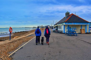 bognor regis, united kingdom - March 04 2022: people with dog are walking on a seaside resort promenade with pebble rock beack and the north sea clipart