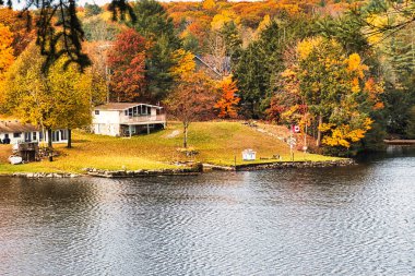 kawartha lakes, canada - 20 October 2022: a cabin on the shore of a small lake in the kawartha lakes region in fall colors