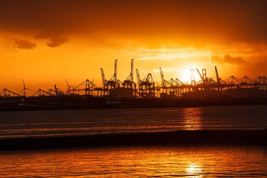 Rotterdam, Hollanda - 22 Kasım 2021: Limandaki gemilerin konteynırlarını boşaltmak için devasa yarıdan ve tamamen otomatik vinçlerden oluşan hatlar