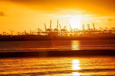 Rotterdam, Hollanda - 22 Kasım 2021: Limandaki gemilerin konteynırlarını boşaltmak için devasa yarıdan ve tamamen otomatik vinçlerden oluşan hatlar