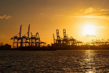 Rotterdam, Hollanda - 22 Kasım 2021: Limandaki gemilerin konteynırlarını boşaltmak için devasa yarıdan ve tamamen otomatik vinçlerden oluşan hatlar