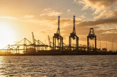 Rotterdam, Hollanda - 22 Kasım 2021: Limandaki gemilerin konteynırlarını boşaltmak için devasa yarıdan ve tamamen otomatik vinçlerden oluşan hatlar