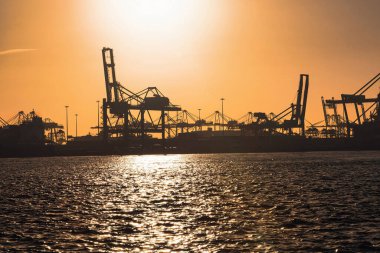 Rotterdam, Hollanda - 22 Kasım 2021: Sanayi limanında siluetli vinçlerle gün batımı