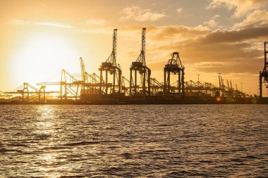 Rotterdam, Hollanda - 22 Kasım 2021: Limandaki gemilerin konteynırlarını boşaltmak için devasa yarıdan ve tamamen otomatik vinçlerden oluşan hatlar